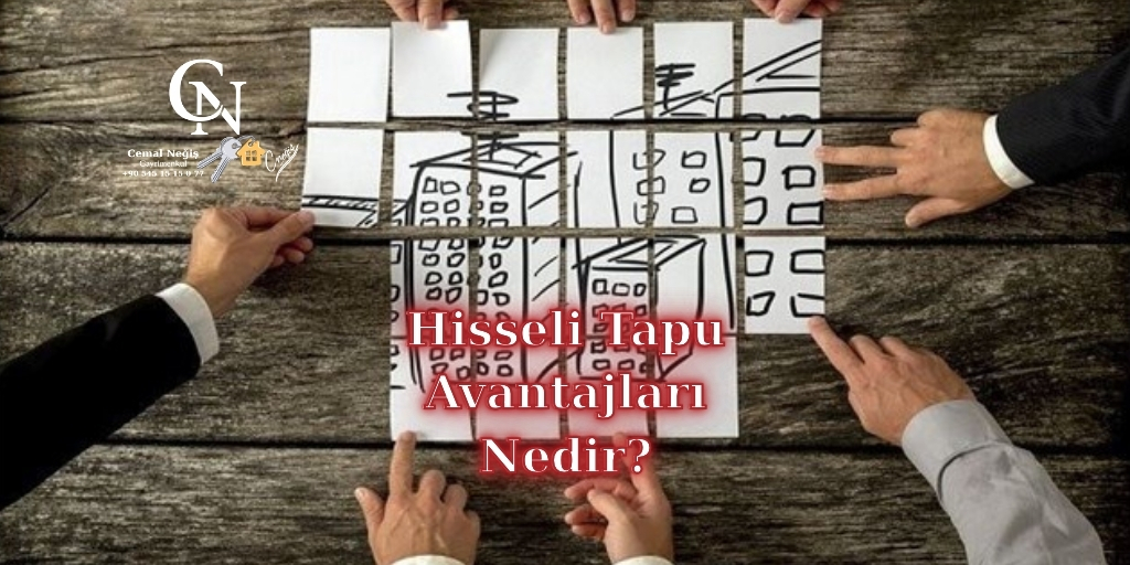 Hisseli Tapu Avantajları Nedir